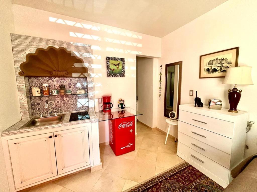 Small Pet Friendly, Pool And Gym Apartment San Miguel de Allende Exterior foto
